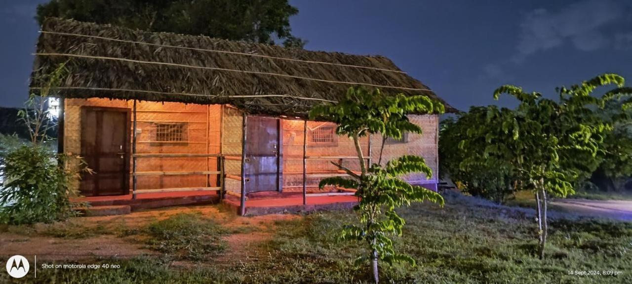 Banana Tree Home Stay Hampi Eksteriør bilde